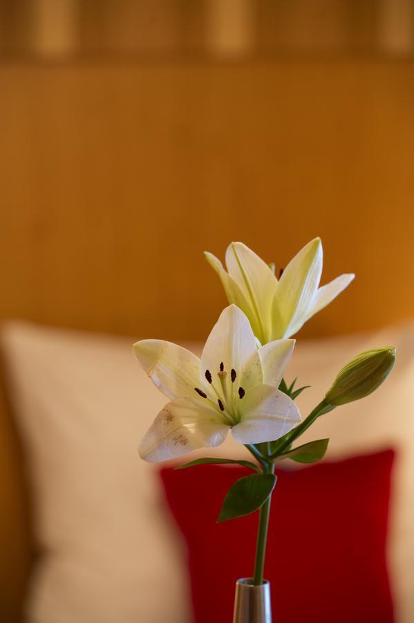 Pension Appartement Lanzer Moosburg Dış mekan fotoğraf